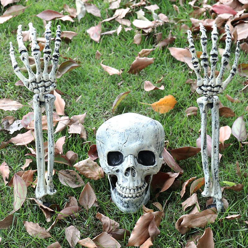 Halloween decorative skulls