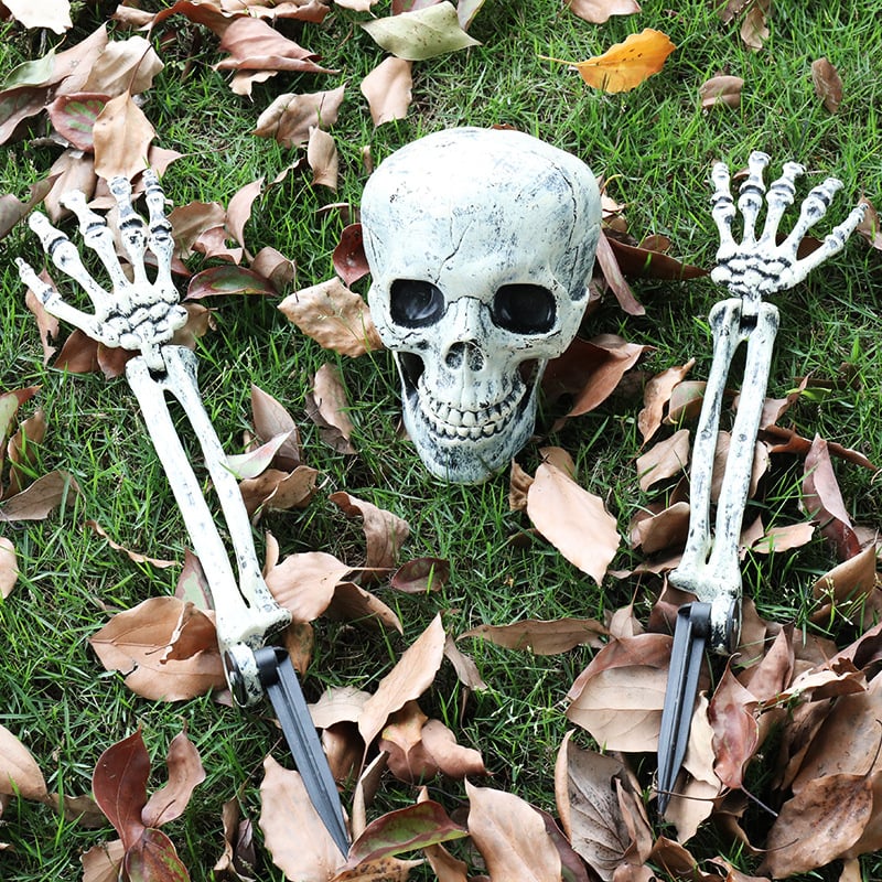 Halloween decorative skulls