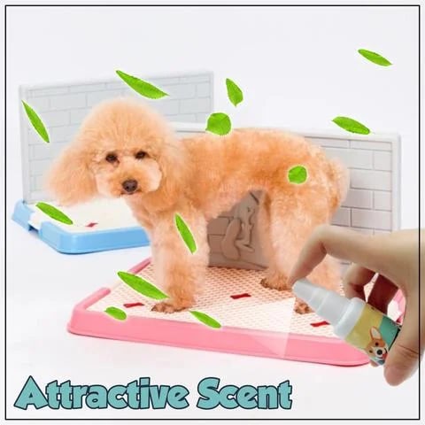 Pet  Training Spray