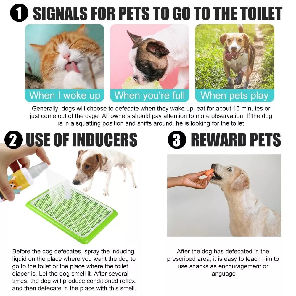 Pet  Training Spray