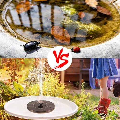 Solar Fountain Pump