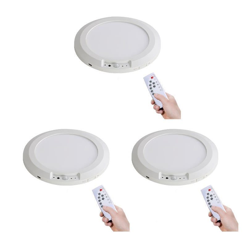 Motion Sensor Ceiling Light