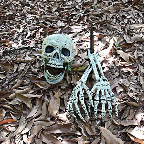 Halloween decorative skulls