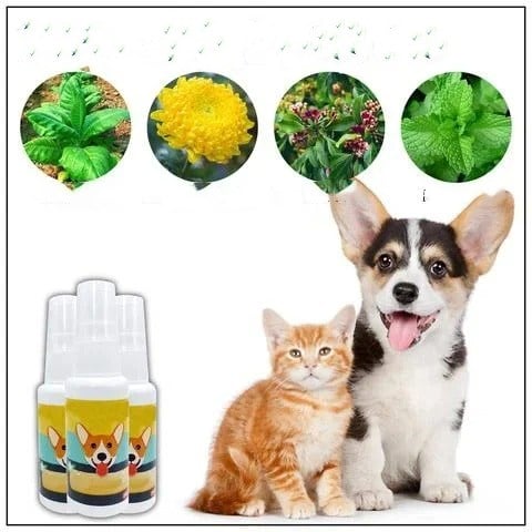 Pet  Training Spray