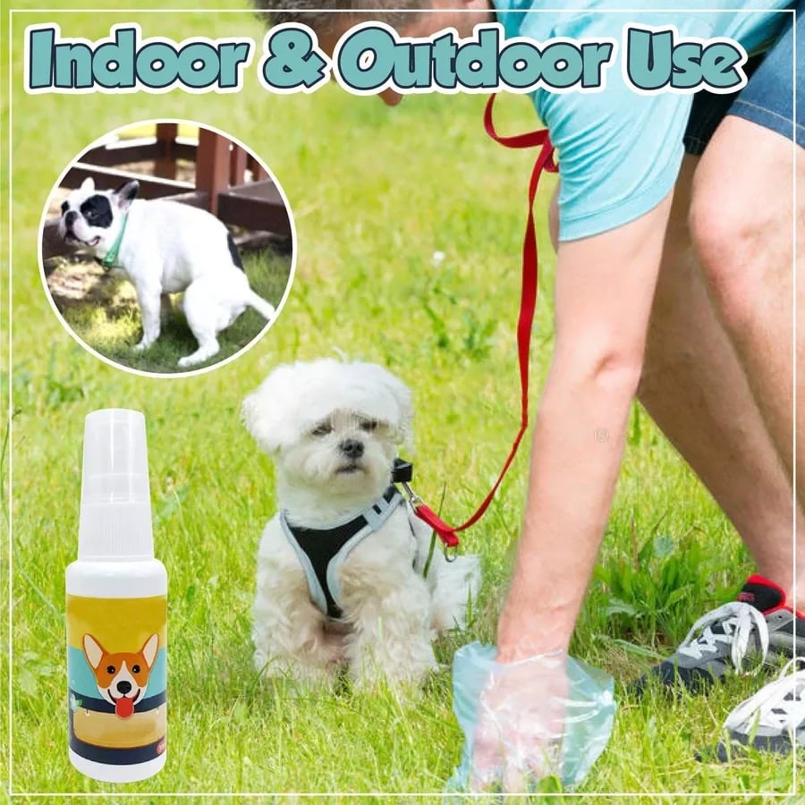 Pet  Training Spray