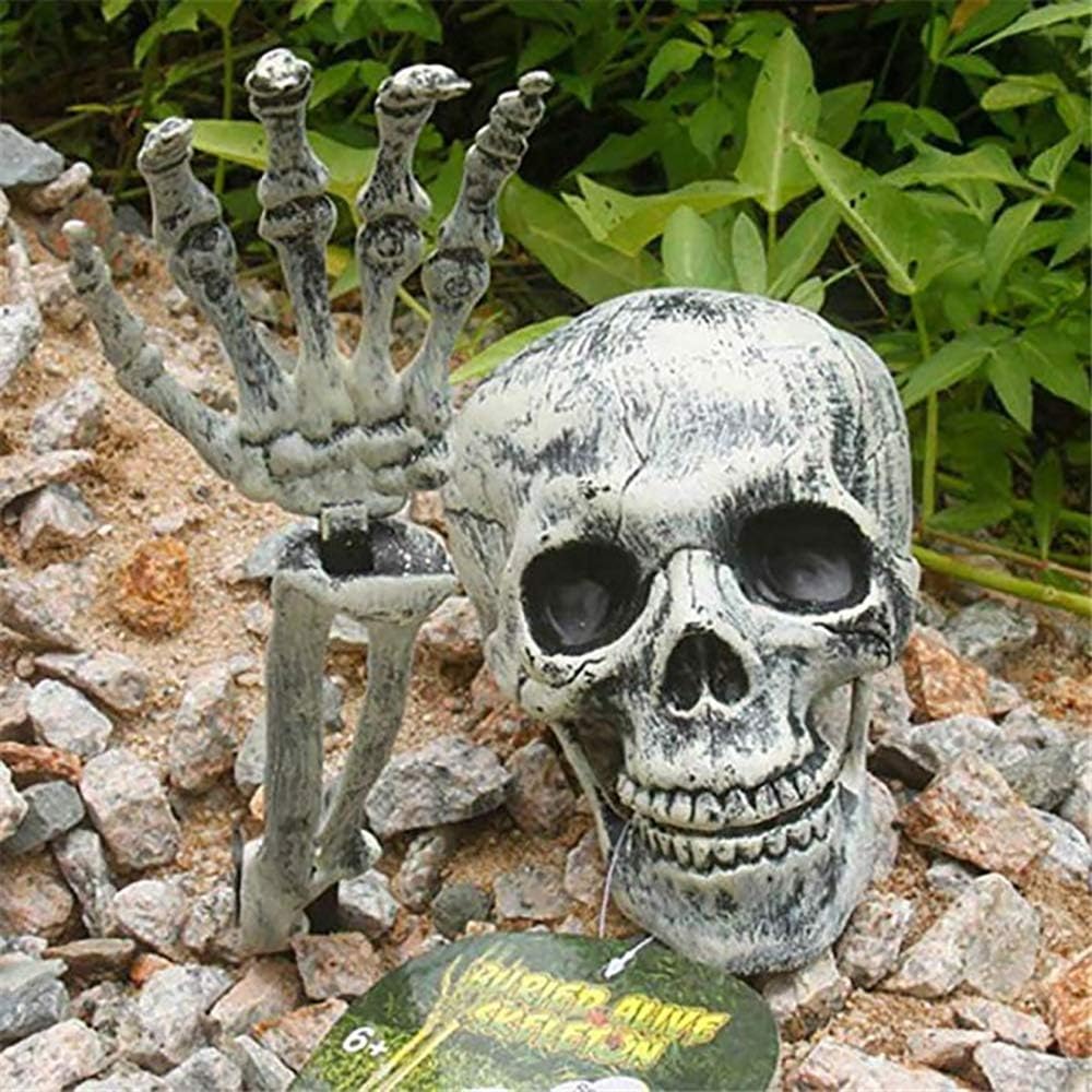 Halloween decorative skulls