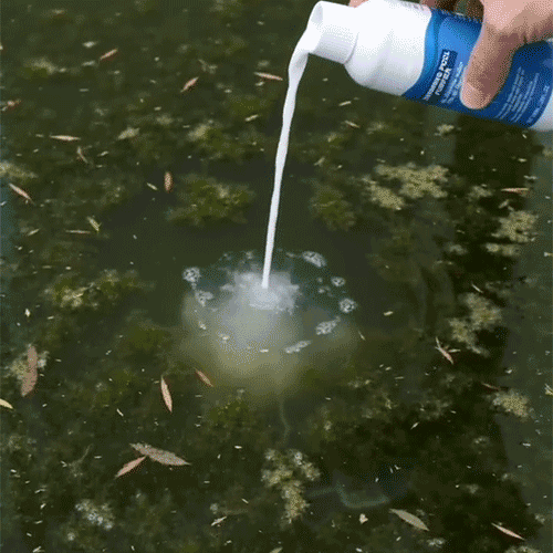 Pro Pool Water Purifier Liquid (1L)