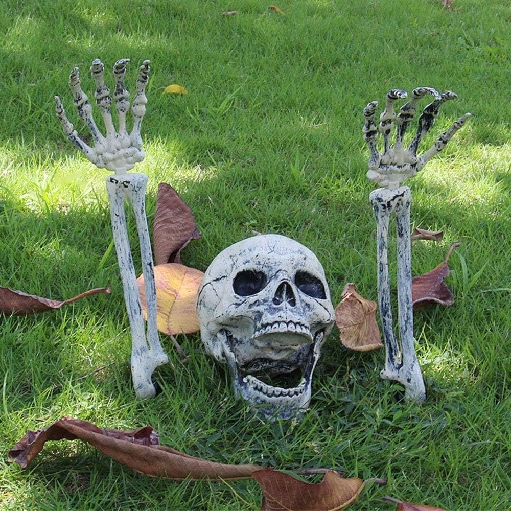 Halloween decorative skulls